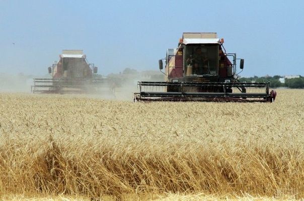На ринок України виходить найбільший китайський виробник сільгоспобладнання