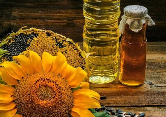 Зерно і соняшникова олія увійшли в трійку лідерів українського експорту в 2020 році