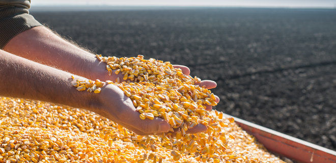 Галузеві асоціації просять обмежити експорт кукурудзи з України