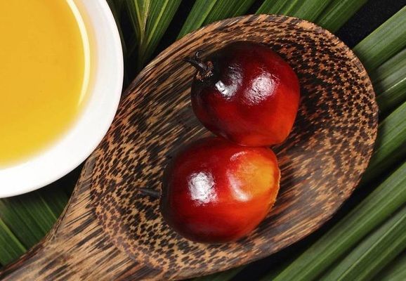 Індонезія має намір нарощувати експорт рафінованої пальмової олії