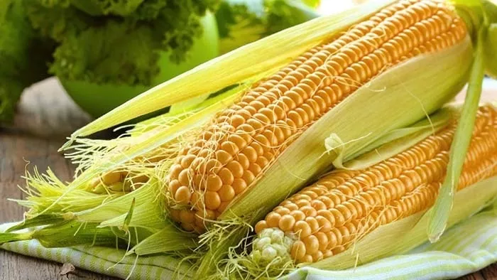 Ціни на українську кукурудзу на FOB перевищили максимум за 7,5 років: що кажуть експерти