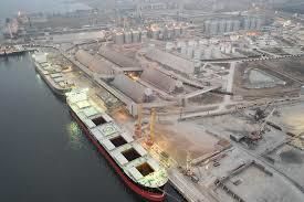 Порт «Ніка-Тера» обробив 7,38 млн тонн вантажів у 2020 році