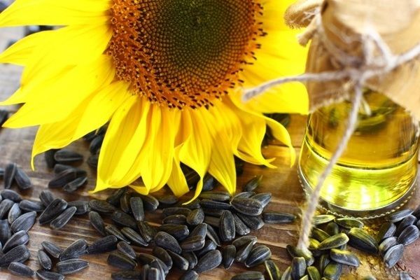 Названо основні імпортери української соняшникової олії в 2020 році