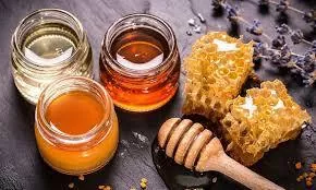 Україна збільшила агроекспорт в Саудівську Аравію