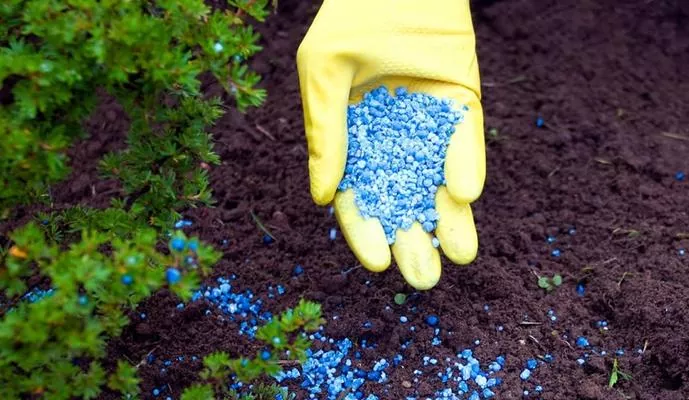 ТОП-10 імпортерів азотних добрив в Україну