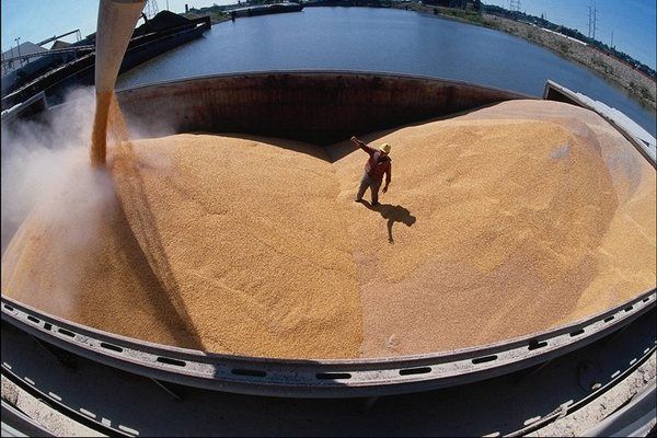 В 2016/17 МГ Египет увеличил импорт пшеницы более чем на 1 млн. тонн
