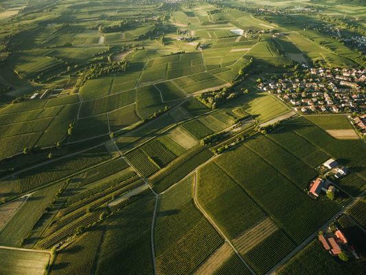 У Мінагрополітики анонсували запуск нового геопорталу про земельні ресурси