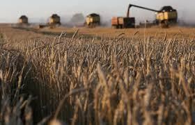 ТОП законопроектів, на прийняття яких очікують українські аграрії