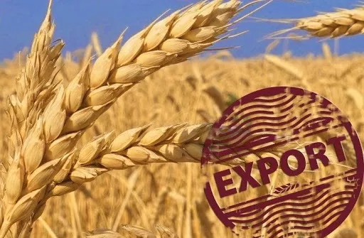 Експорт російського зерна в Єгипет під загрозою через експортні мита – трейдери