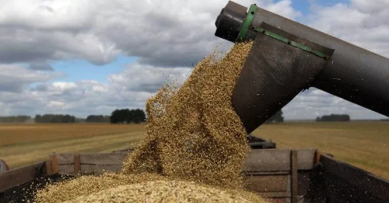Мінекономіки прогнозує скорочення експорту зерна на 20%