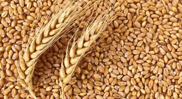 Світові ціни на зерно будуть високими в поточному і наступному роках - експерт