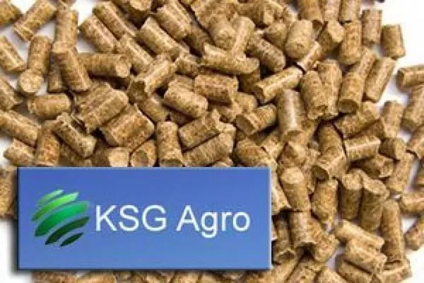 Завод по производству пеллет от KSG Agro в 2019 г.