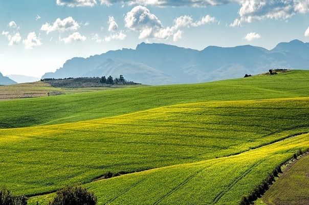 Ціна землі: за скільки продають гектар у Європі