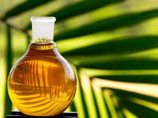 Малайзія до кінця березня продовжила експортне мито на пальмову олію