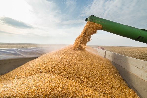 УЗА підтримує зниження ПДВ для операцій із зерном