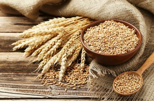 Аналітики ФАО заявляють про нові зернові рекорди у цьому році