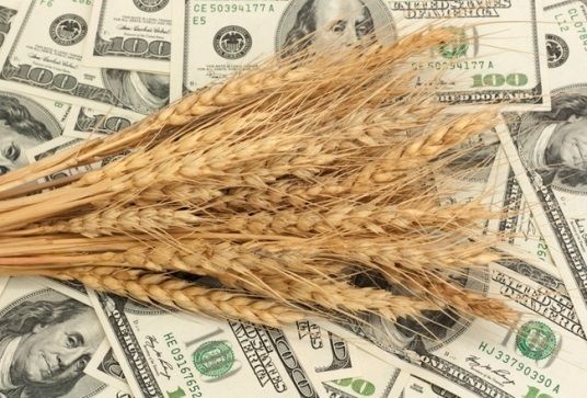 Китай збільшує закупівельні ціни на зерно