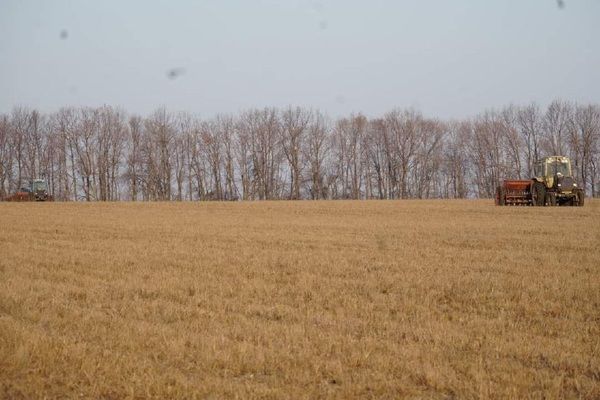 Аграрії Херсонщини працюють в екстремальних умовах