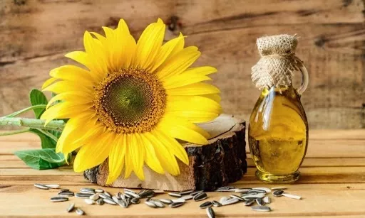 Аргентина в найближчі місяці наростить переробку соняшнику