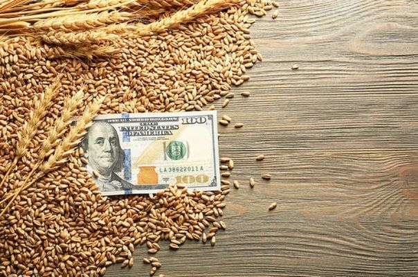 Туніс збільшує попит на українське зерно