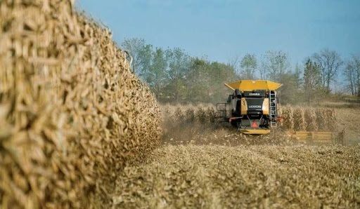 В Аргентині стартувала кампанія збирання кукурудзи