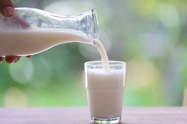 Виробництво молока в Україні опинилось під загрозою 
