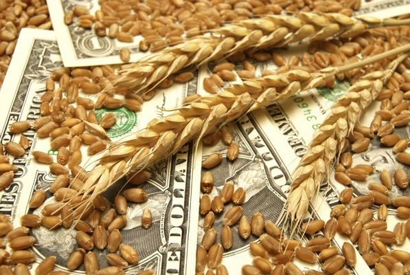 Держспоживслужба України і УЗА створять робочу групу для вирішення проблем при експорті зерна