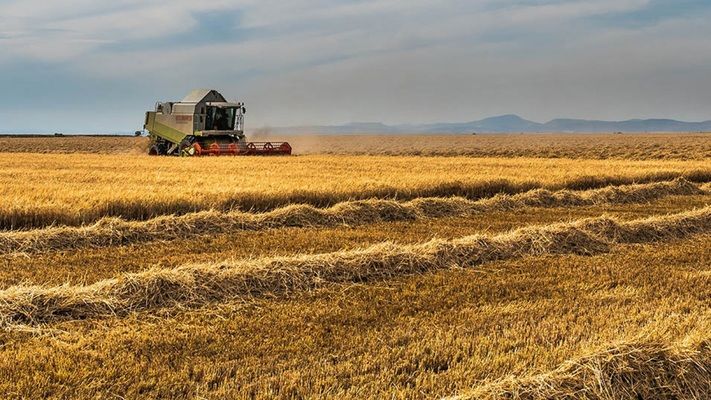 На початок квітня запаси зернових і зернобобових в Україні становили менше 13 млн тонн