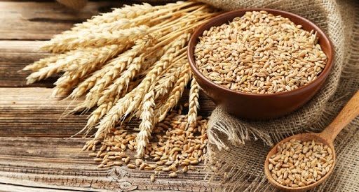 Мінсільгосппрод Білорусі пояснив з чим пов'язана заборона на вивіз зерна