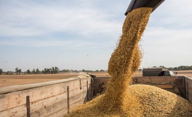 Україна може в 2-3 рази збільшити експорт зерна в Китай – Горбачьов 