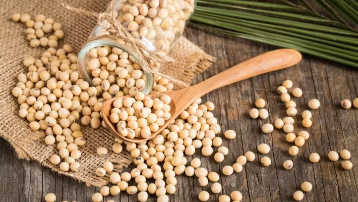 Бразилія призупинила мита на імпорт кукурудзи, сої та соєпродуктів