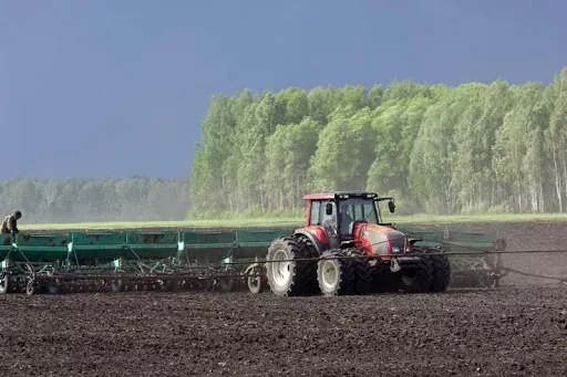 Весняна посівна-2021: в Україні посіяли вже понад 2 млн га ранніх ярих зернових культур