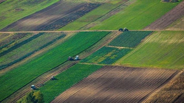 Через земельні закони фермери опинились під загрозою втратити все – Івченко