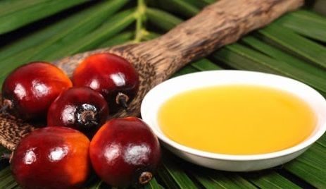 Індонезія підвищила експортне мито на пальмову олію