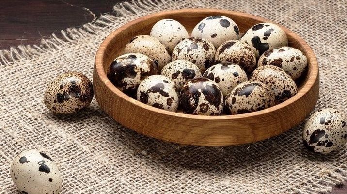 Україна – один із найбільших виробників перепелиних яєць у Європі