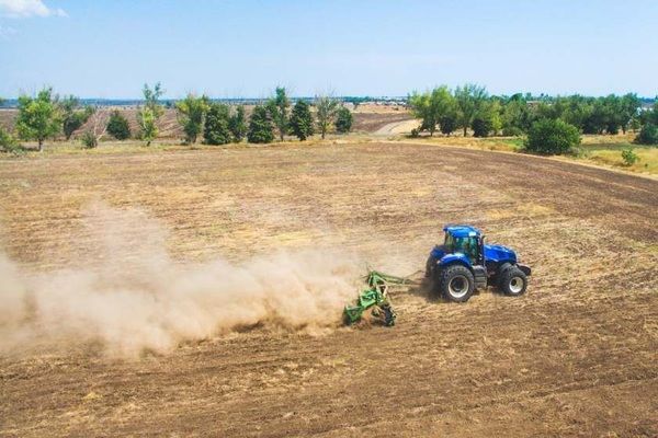 На Сумщині завершилася сівба ранніх ярих зернових та зернобобових культур