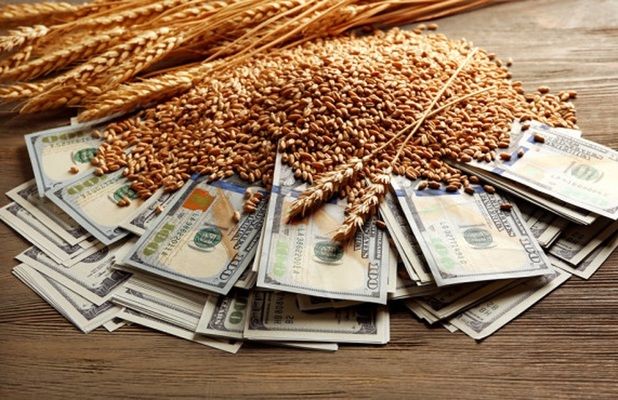 Україна вже відправила на експорт більше 39 млн. тонн зерна