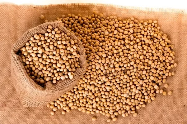 Урожай сої в Аргентині в 2020/21 році підвищено до 43,5 мільйона тонн