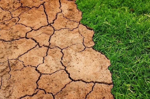 Аномальна посуха в США і Канаді загрожує фермерським господарствам