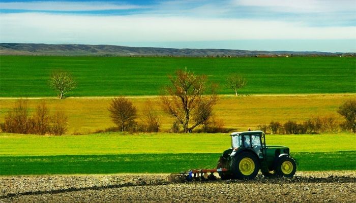 Експорт сільгосппродуктів до КНР збільшився майже втричі