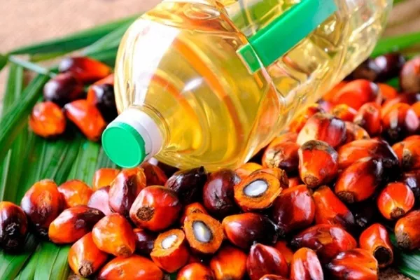 Індія знижує мито на пальмову олію, щоб знизити ціни на харчові олії - S&P