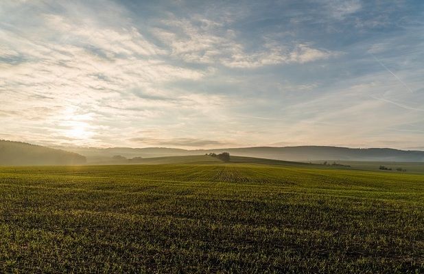 Міністр аграрної політики прогнозує щорічне зростання вартості сільгоспземель на 7-10%