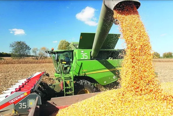Аргентина зібрала історично рекордний урожай кукурудзи