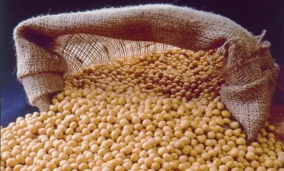 Бразилія може побити рекорд з експорту сої