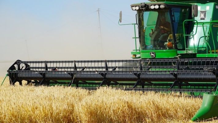 Україна експортувала понад півмільйона зернових