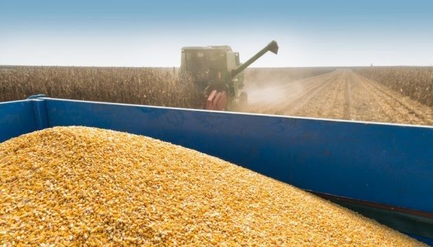 Експорт зерна з України збільшуватиметься