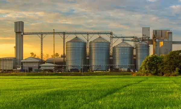 Елеватори G.R. Agro заготовили понад 25 тис. тонн ранніх зернових