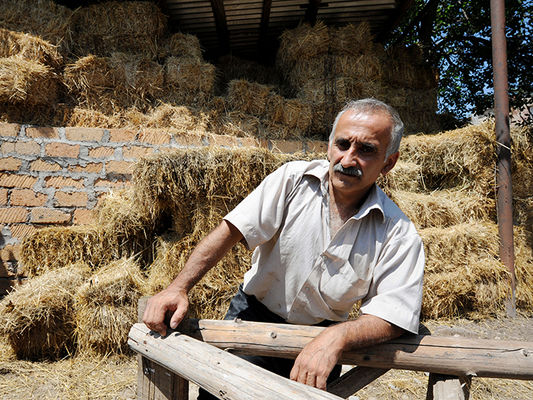 В Армении планируют увеличить размер предоставляемых кредитов малым и средним сельским хозяйствам