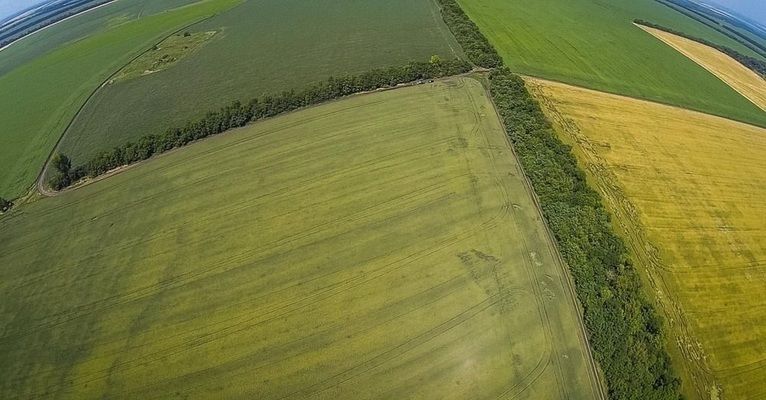 По чому в середньому продають перші сільськогосподарські ділянки в Україні