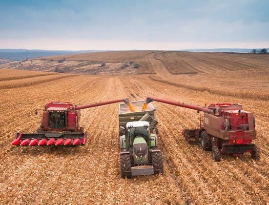 Масове збирання зернових стартувало в Білорусі